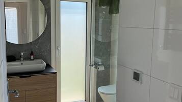 A modern bathroom with a glass shower enclosure, a toilet, and a sink with a mirror.
