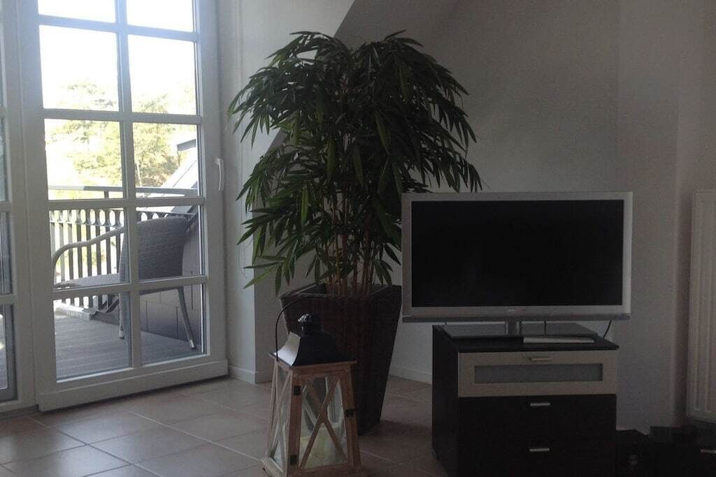 Ein Wohnzimmer mit Fernseher, einer großen Topfpflanze und einer Schiebetür zu einem Außenbereich.