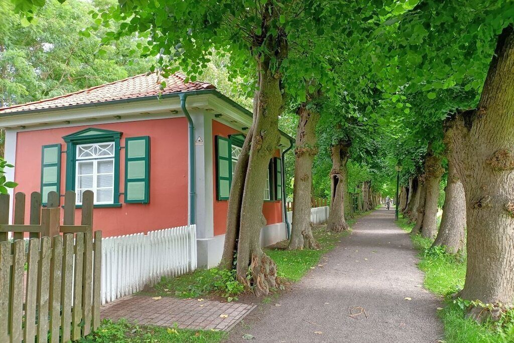 Un chemin bordé d’arbres mène à un bâtiment rouge aux volets verts.