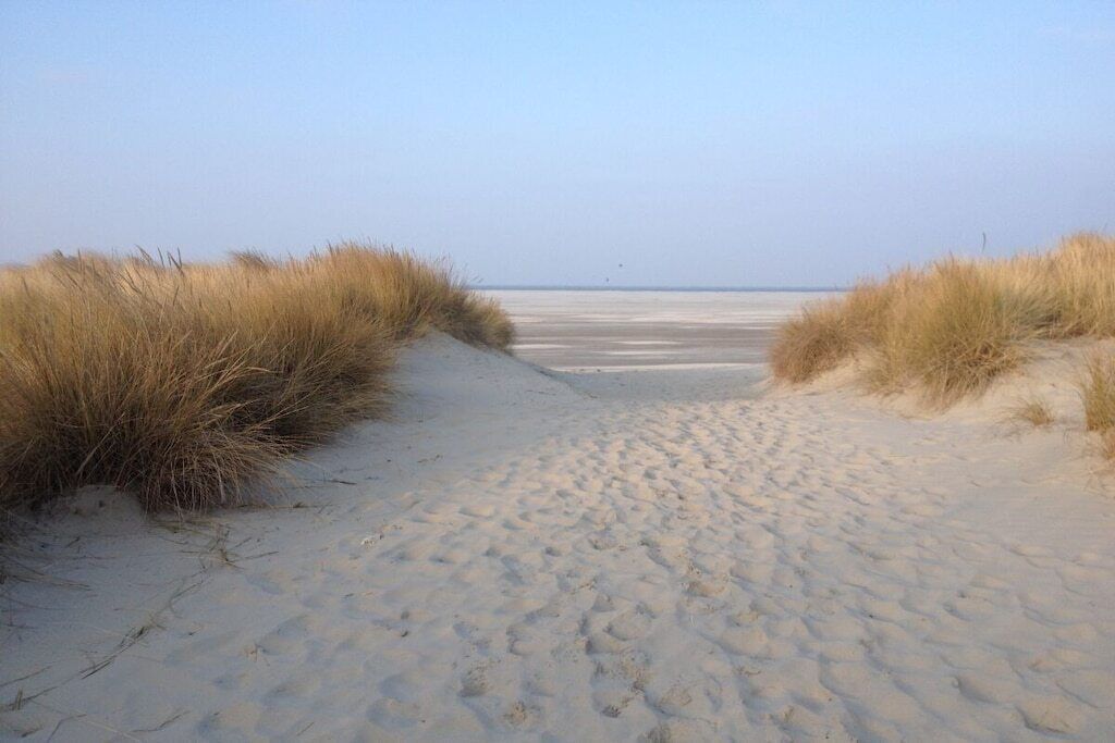 A sandy beach path leading to the sea, surrounded by grassy dunes.