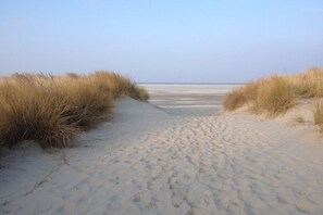 Un sentiero sabbioso che conduce al mare, circondato da dune erbose.