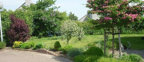 A paved driveway leading to a residential area with a variety of plants and a tree with pink flowers.