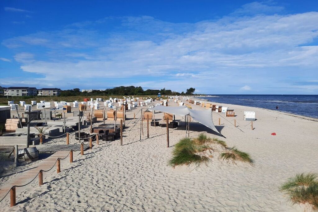A beach with a row of white beach chairs and umbrellas, a sandy walkway, and a clear blue sky.