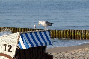 Ein Strandstuhl mit einer gestreiften Sitzfläche und der Nummer 72.