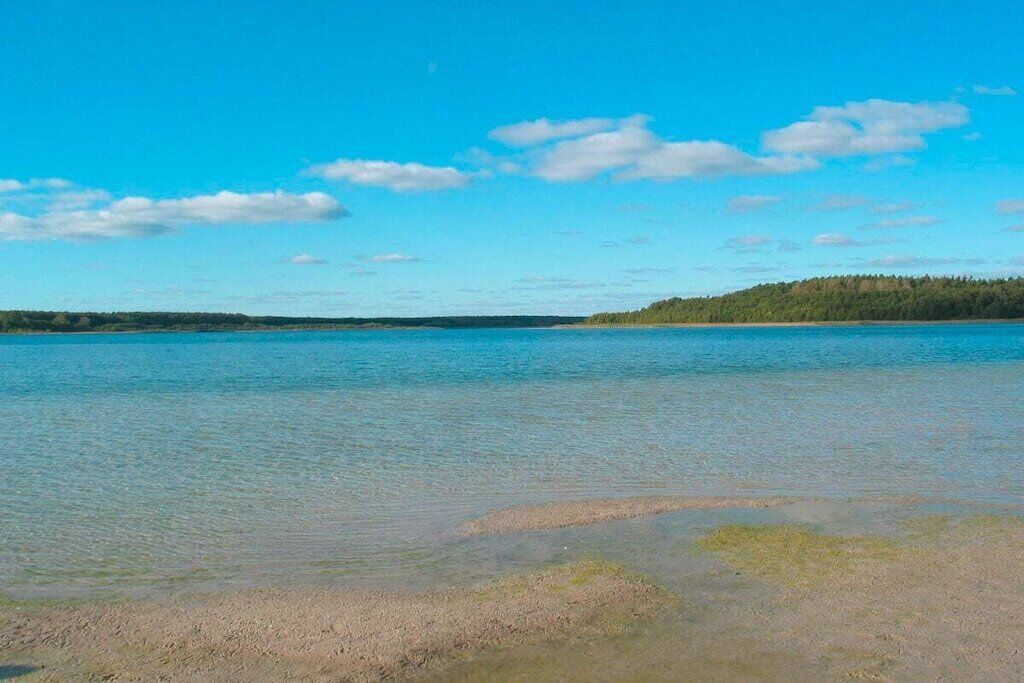 Una vista clara d'un llac amb una illa boscosa a la distància.
