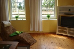 A room with a wooden floor, a brown chair with a pillow, a television on a white stand, and two potted plants on the windowsill. - Holiday apartment with 3 bedrooms (Bergen)