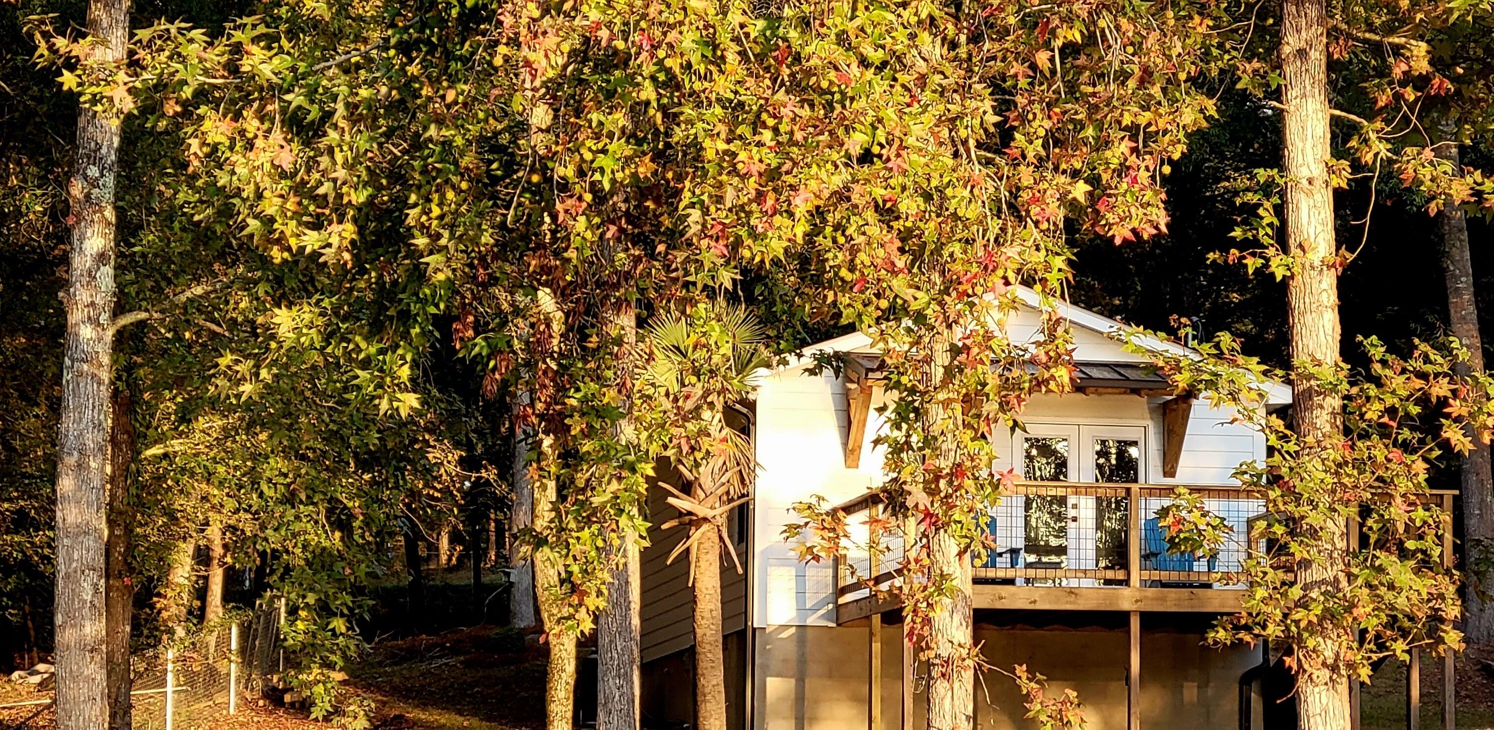 Una casa envoltada d'arbres amb un balcó que domina un jardí.