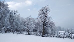A snow-covered landscape with trees and a fence.