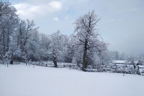 A snow-covered landscape with trees and a fence.