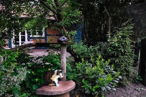 A cat sitting on a stone ledge in a garden with dense foliage and a brick wall in the background. - Holiday home in Grasberg with barbecue (Grasberg)