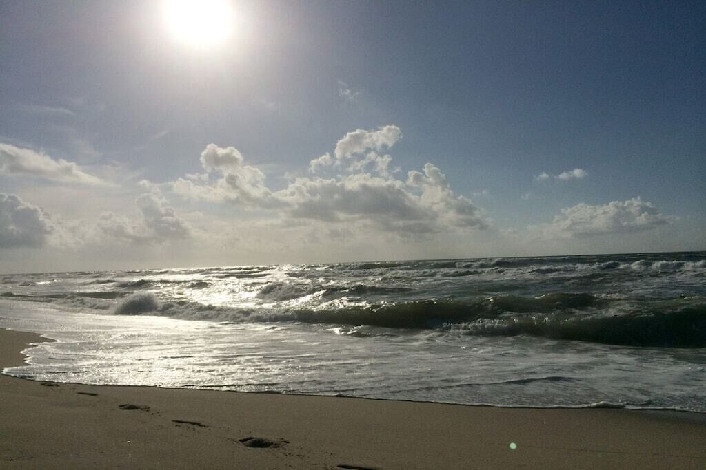 شاطئ