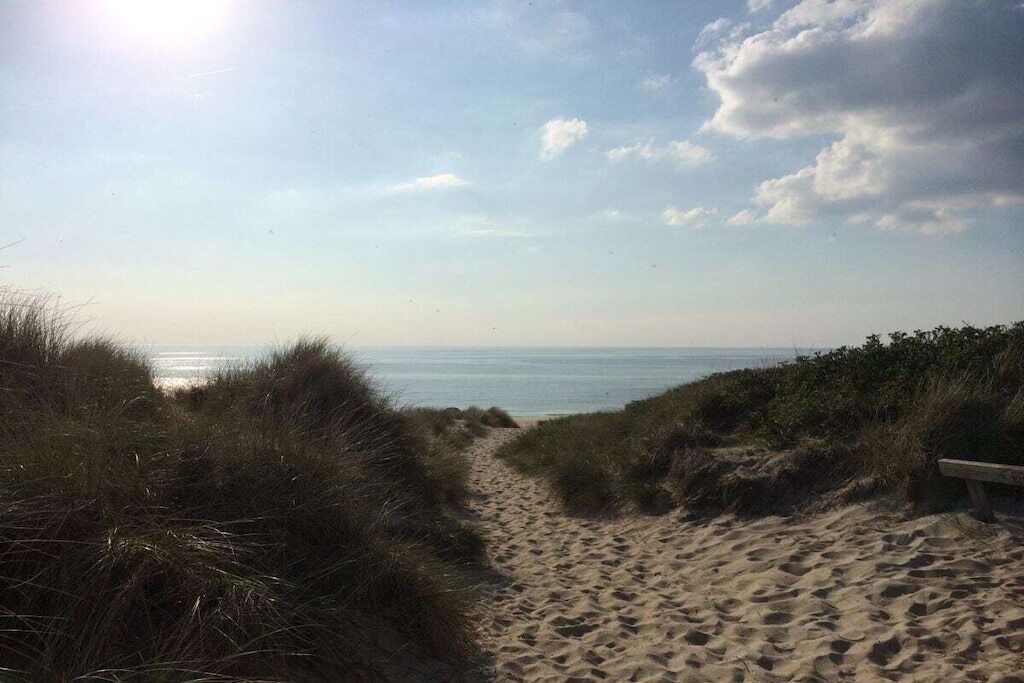Een zandpad langs het strand, omringd door gras.