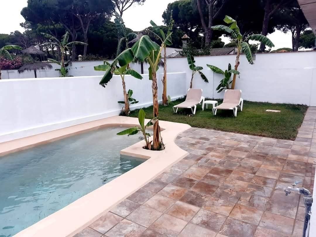 Una piscina con lettini, circondata da un muro bianco e piante tropicali.