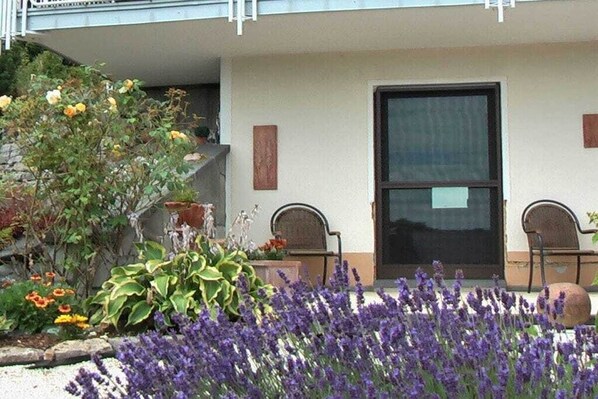 Ein Gebäude mit einer Tür, zwei Stühlen vor der Fassade und einem Garten mit verschiedenen Pflanzen.