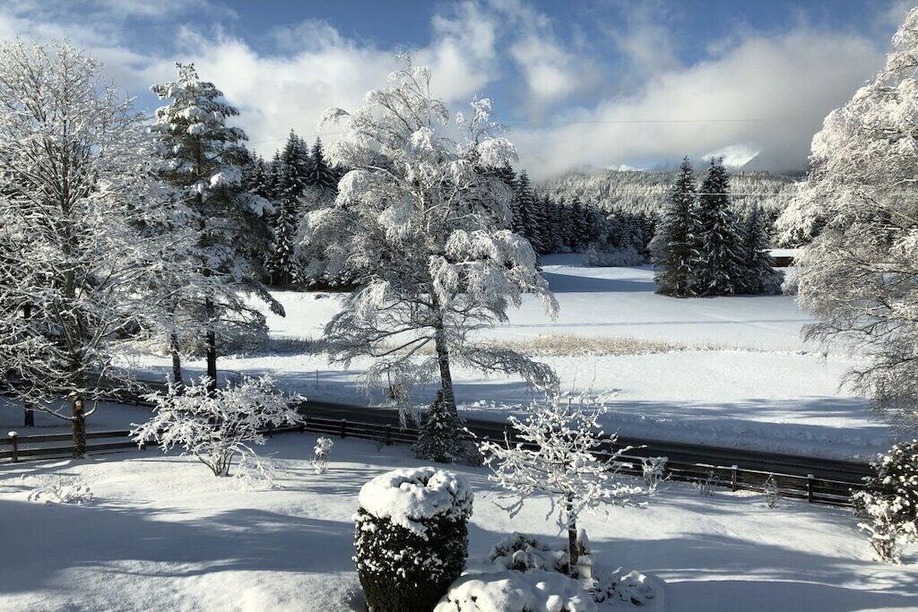 A snowy landscape with trees and a railway track.