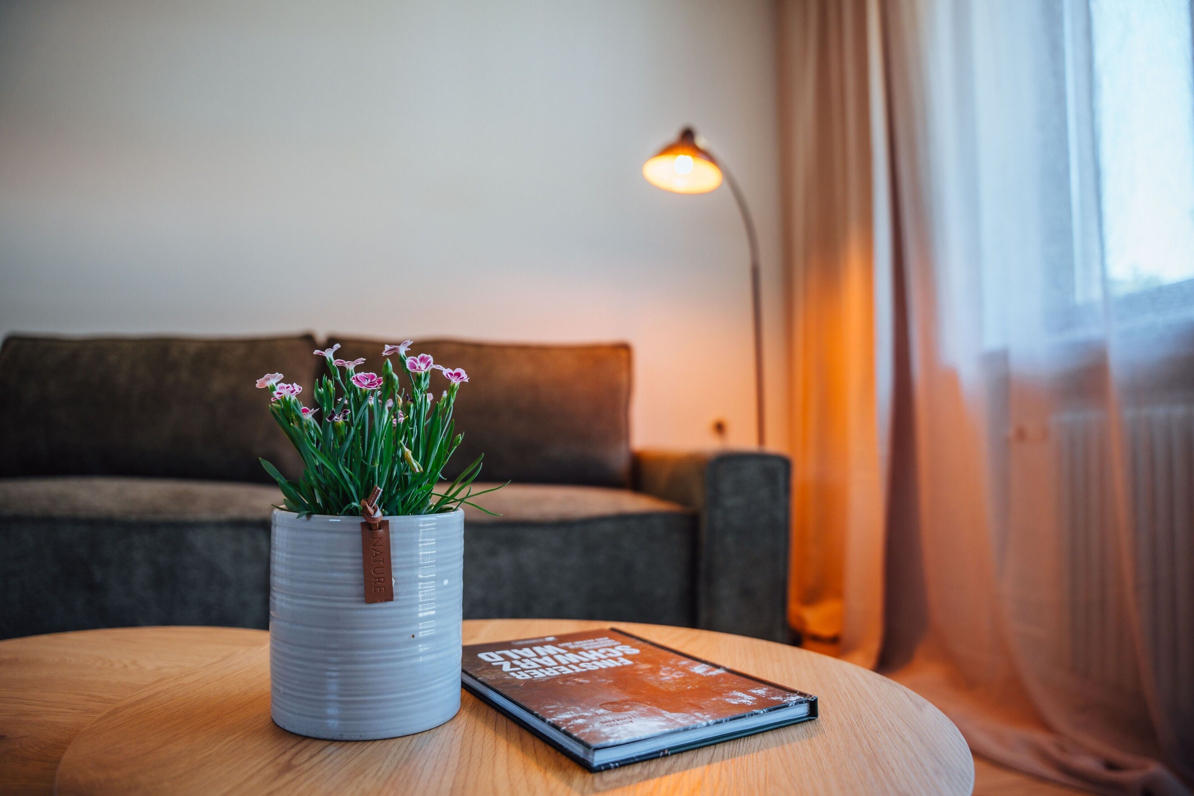 A potted plant with flowers on a wooden table, a book, and a sofa in the background.