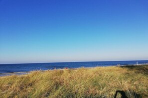 A beach with clear skies and grassy dunes. - Holiday apartment Strandstraße 16 322221 (Kühlungsborn)