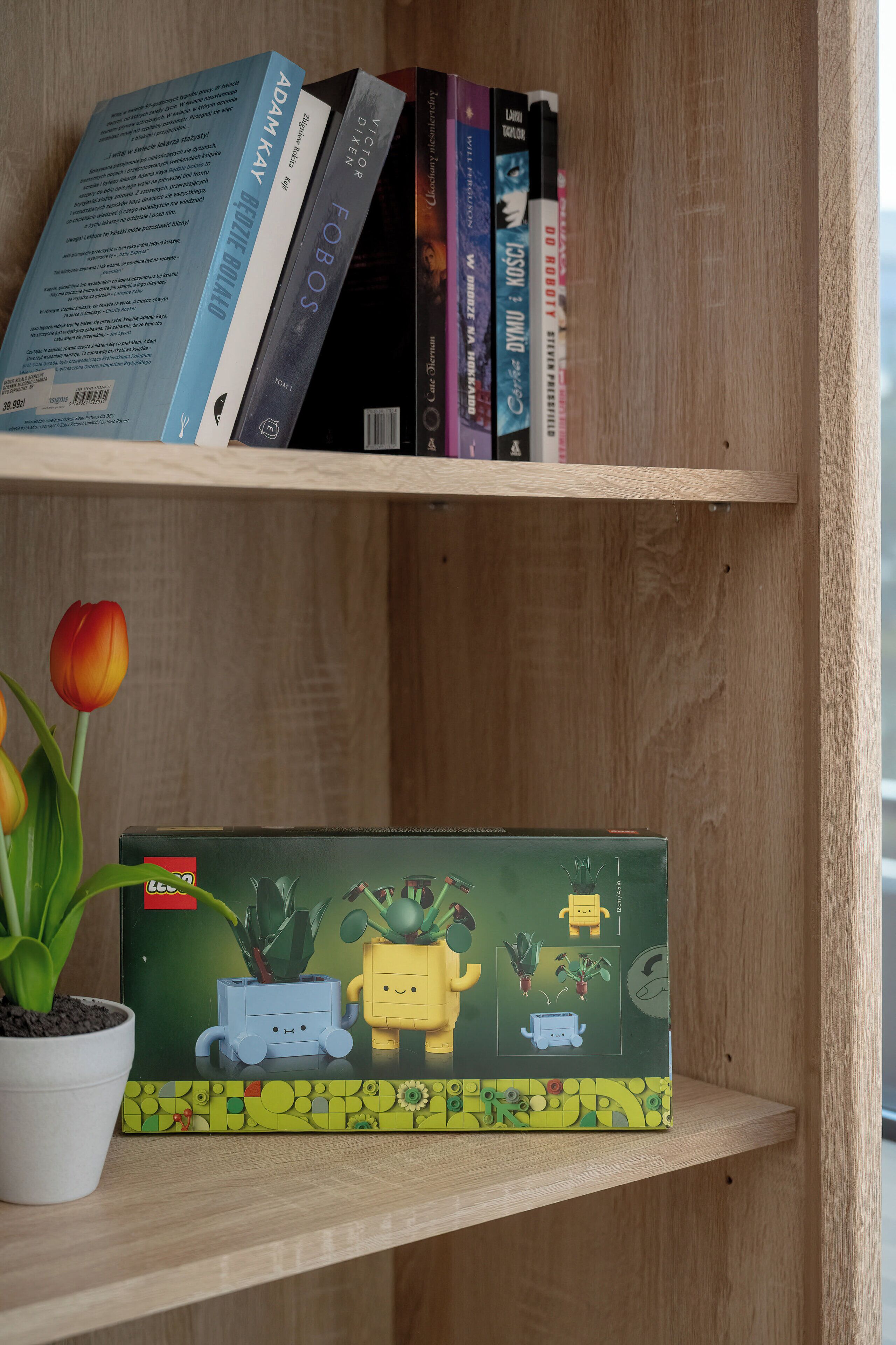 Una estantería con libros y una planta.