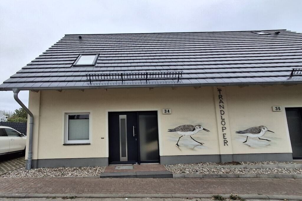 A building with a flat roof, a door, and a small window. There are two bird illustrations on the wall.