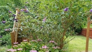 Property grounds - Holiday home in Oberfell with swimming pool (Oberfell)