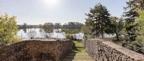 Un sendero de piedra que lleva a una masa de agua, rodeado de árboles y un cielo despejado.