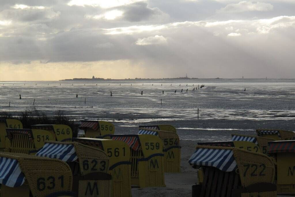 Een strand met rijen genummerde strandstoelen en parasols, een bewolkte lucht en een verre kustlijn.