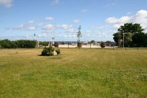 Ein offenes, grasbewachsenes Feld mit einem Zaun, Bäumen und blauem Himmel.