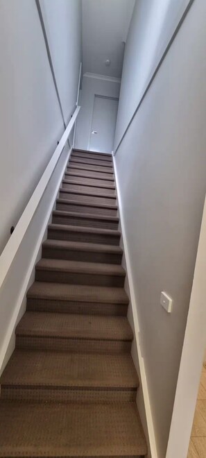 A carpeted staircase with white handrails, leading to a door at the top.