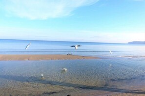 A beach with clear water, sand, and birds. - Holiday apartment with 1 bedroom (Ostseebad Binz)