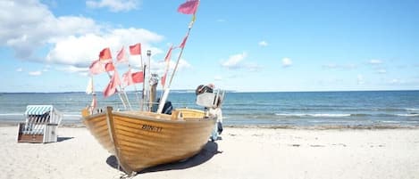 A wooden boat with the identifier BIN-11 on a sandy beach.