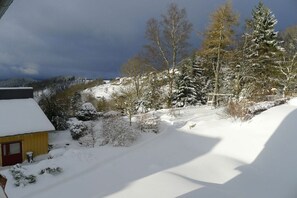 A snow-covered landscape with a house and trees. - Holiday apartment with 1 bedroom (Sankt Andreasberg)