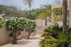 A garden with white flowering plants, a concrete pathway, and a staircase leading to a building. - Spacious Turibana villa with 4 king bedrooms, a private pool, tropical garden, palapa, BBQ, and separate apartment for added privacy. (Noord)