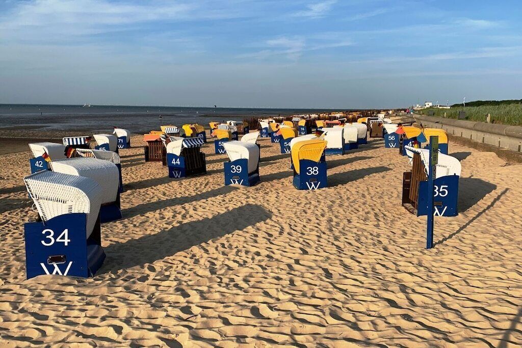 A beach with rows of numbered beach chairs and umbrellas, arranged in a linear fashion along the shoreline.
