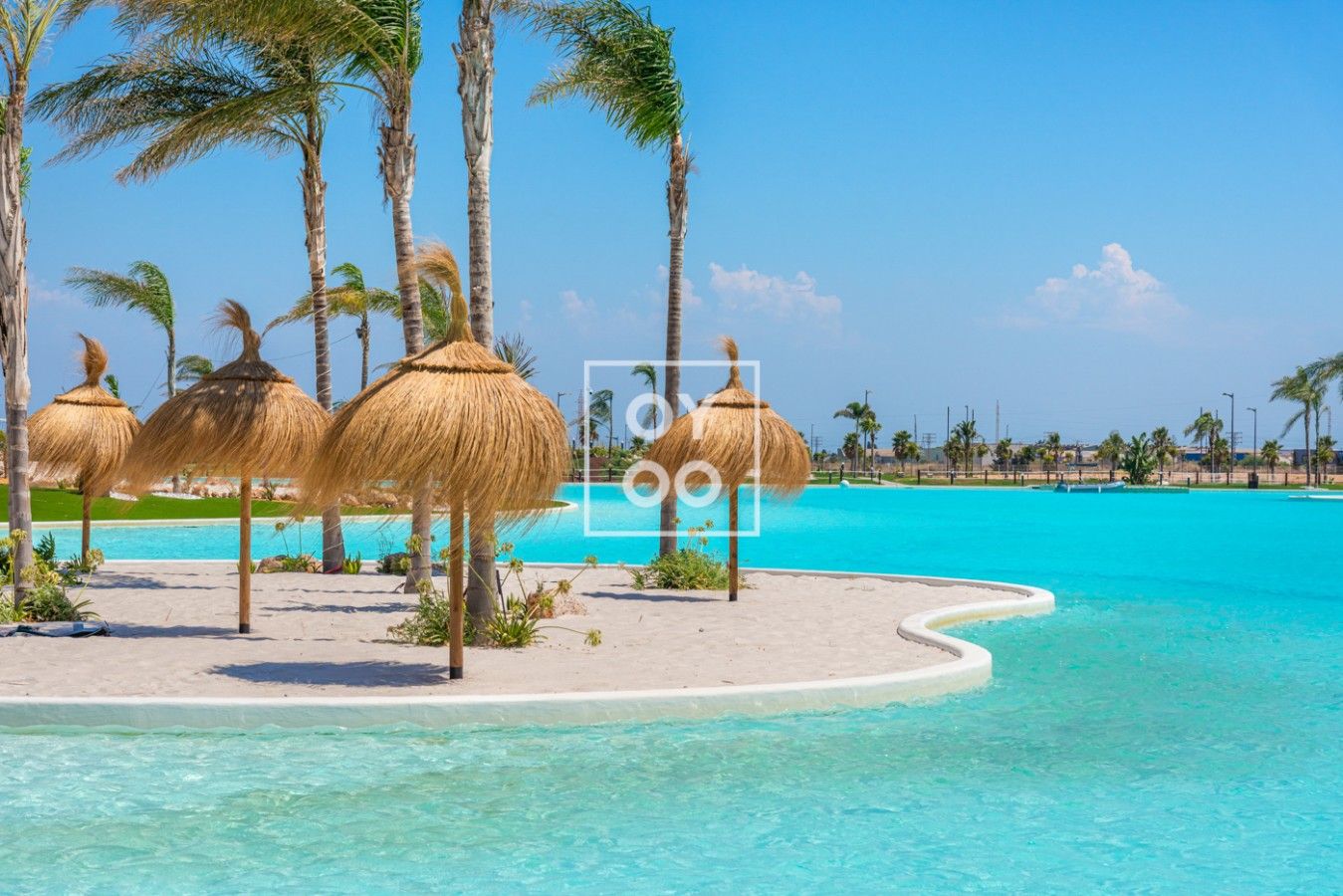 A resort pool area with palm trees and thatched umbrellas.