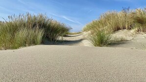 Een geplaveid pad wordt begrensd door zandduinen en gras.