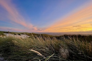 A coastal landscape with dunes and a view of the sea during sunset. - Holiday apartment Strandkoje (Langeoog)