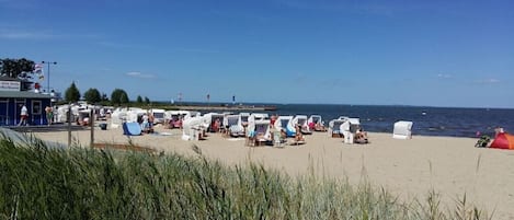 A beach with rows of beach chairs and umbrellas, a pier in the background, and a clear sky.