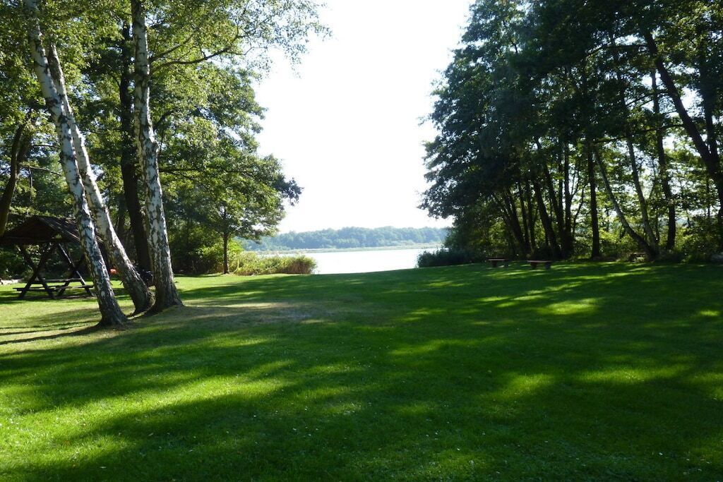 A park with a grassy area, trees, and a body of water in the distance.