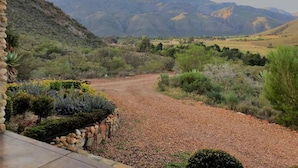 A gravel driveway leading to a mountainous landscape with a stone wall and various shrubs.