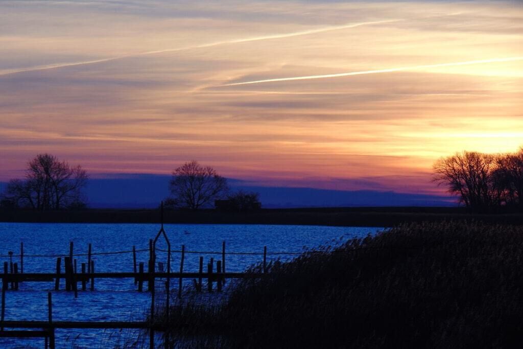 Un coucher de soleil sur une étendue d’eau, avec un quai et des arbres au premier plan.