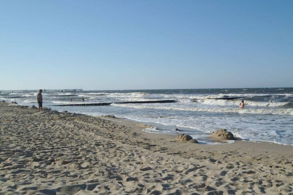 Una playa con un muelle al fondo, orilla arenosa y olas.