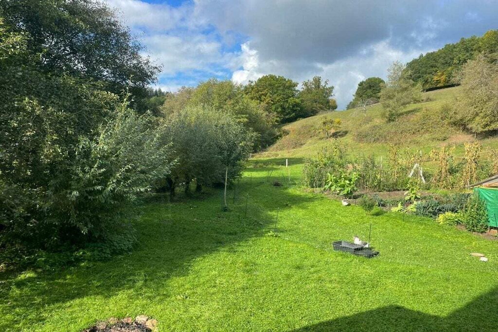 A grassy outdoor area with trees and a small structure.