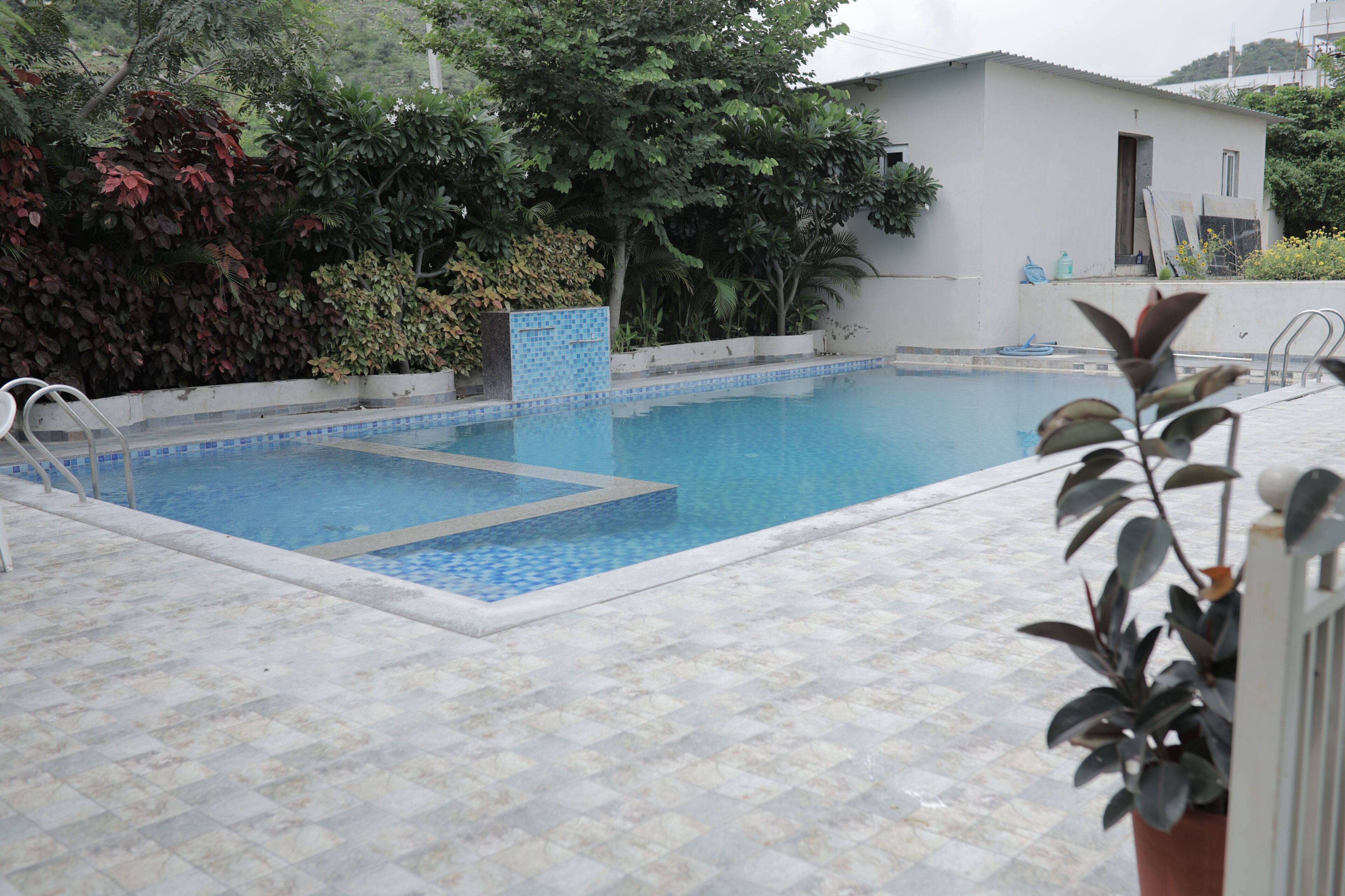 Piscina com bordas azulejadas, cercada por vegetação e um edifício ao fundo.