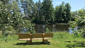 A bench by a pond surrounded by trees.