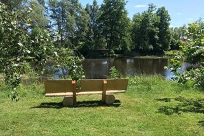 A bench by a pond surrounded by trees.