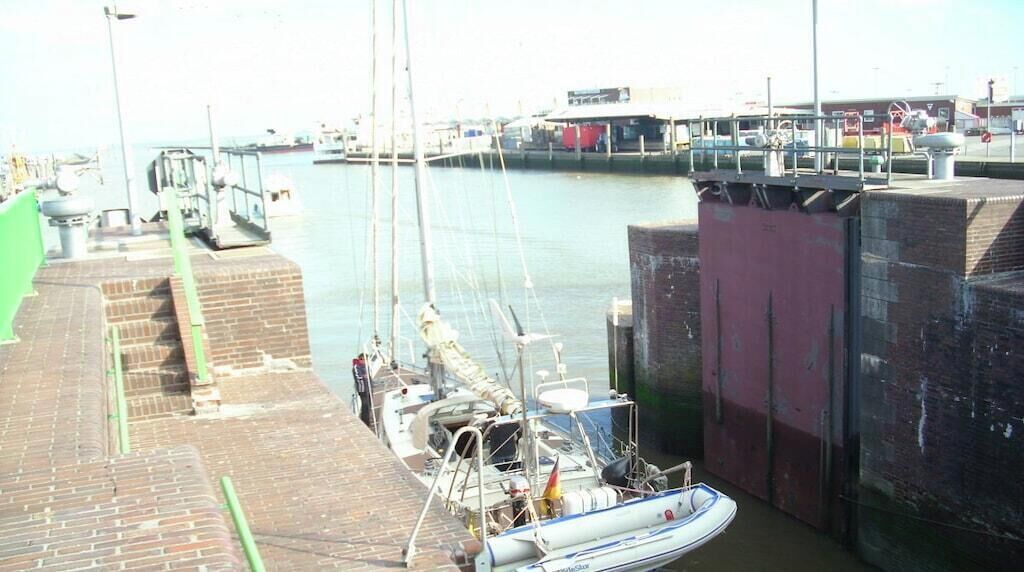 A marina with boats docked, a brick walkway, and a large building in the background.