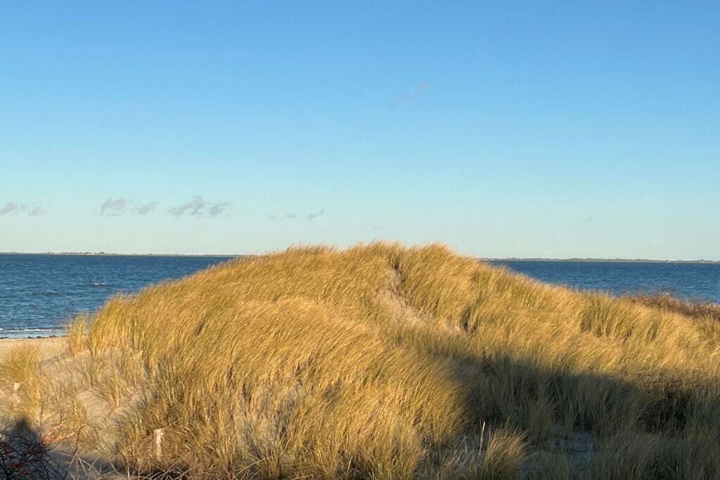 海滩