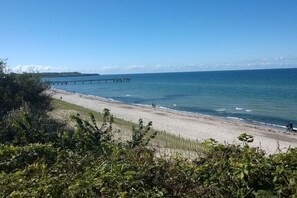 Una playa con un muelle que se adentra en el agua, rodeada de vegetación.