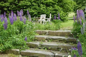 Ein Garten mit einer Steintreppe, umgeben von üppigem Grün und violetten Blumen.