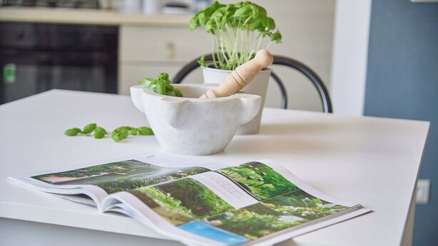 Una encimera de cocina con un mortero y majadera, una planta de hierbas en maceta y una revista abierta.
